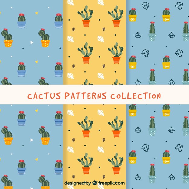 Cactus pattern collection