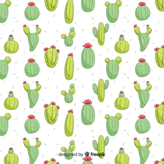 Cactus pattern collection