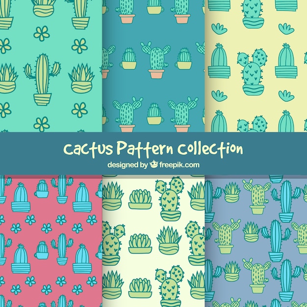 Cactus pattern set