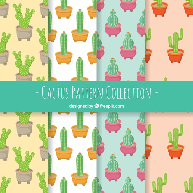 Cactus patterns with cute style