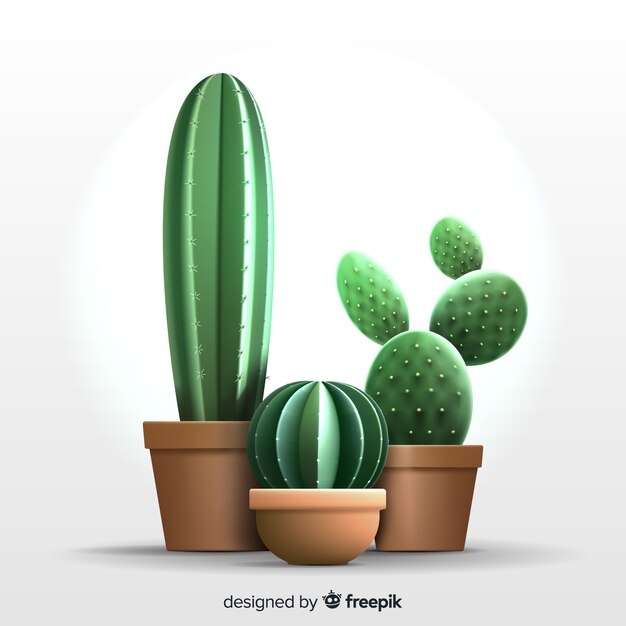 Cactus plant in realistic style