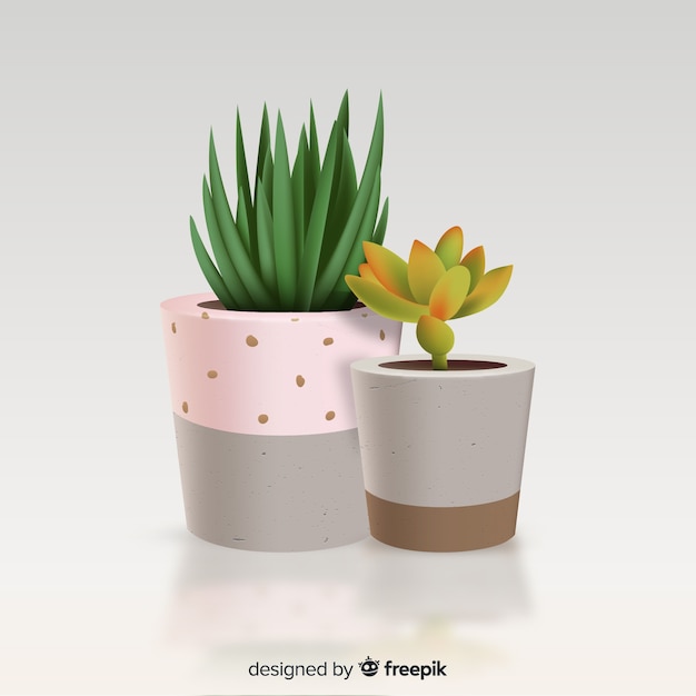 Free Vector cactus plant in realistic style