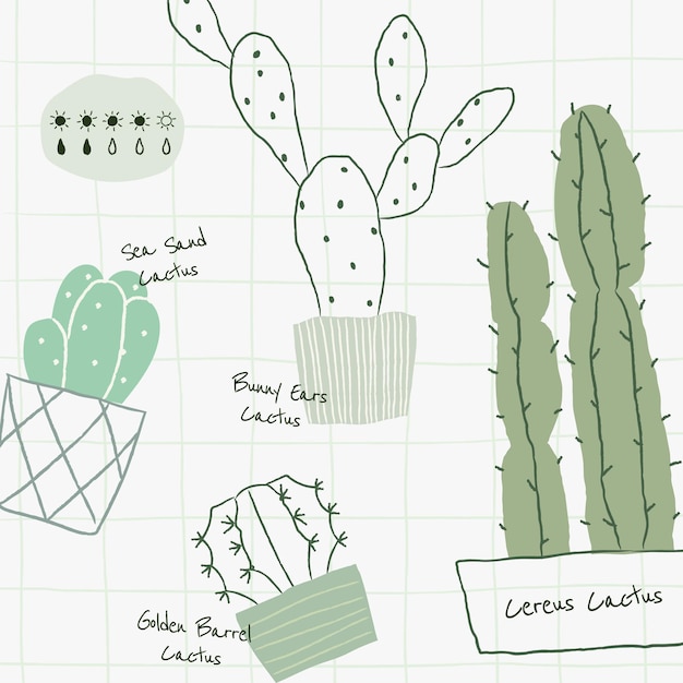 Free Vector cactus plant watering chart template vector