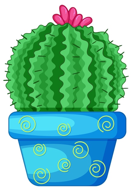 Free Vector cactus in a pot isolated