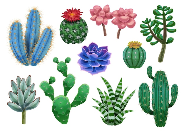 Free vector cactus set with isolated images of various exotic plants and colourful tropical flowers on blank background vector illustration