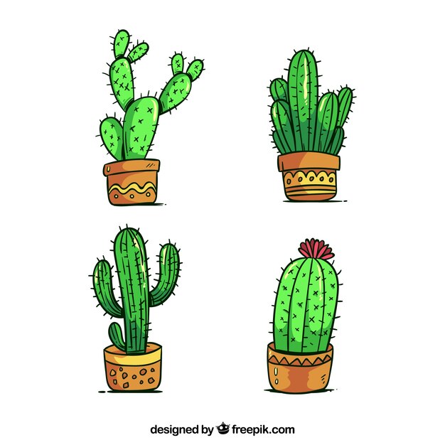 Cactus set