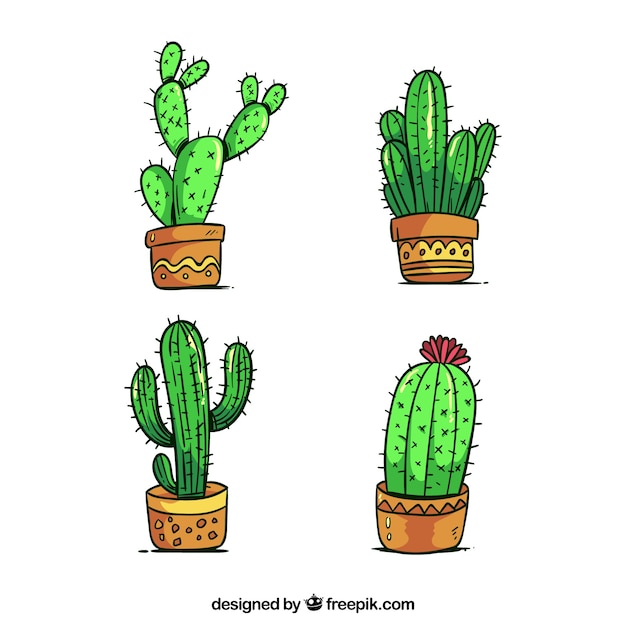 Cactus set