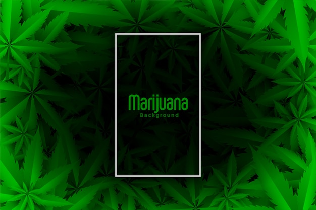 Free Vector cannabis or marijuana green leaves background