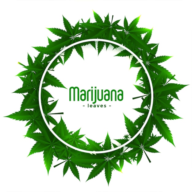 Free Vector cannabis marijuana weed frames with leaves