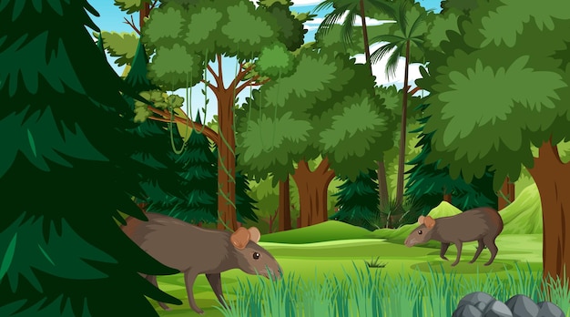 Capybara family in forest or rainforest scene with many trees