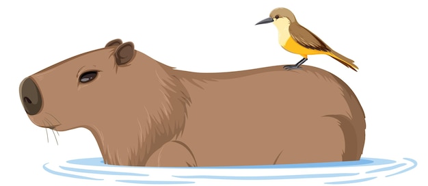 Capybara with a bird in cartoon style