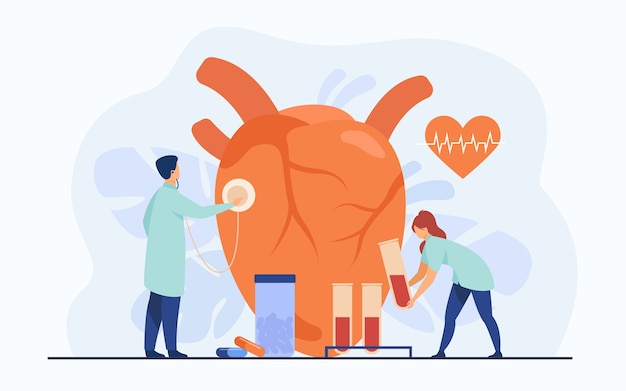 Cardiologists examining heart with stethoscope and blood samples in lab tubes among pills and heartbeat diagram. Vector illustration for cardiology, medical examination, heart disease concept