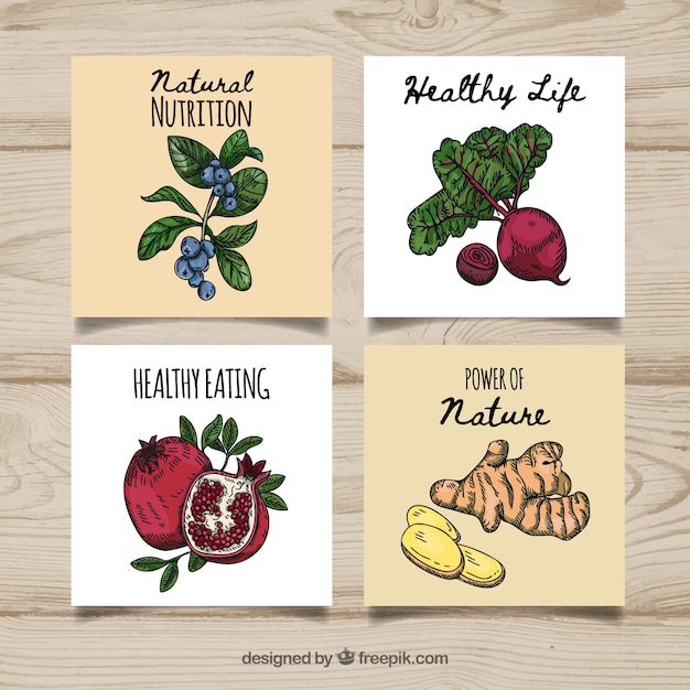 Free Vector cards collection with food