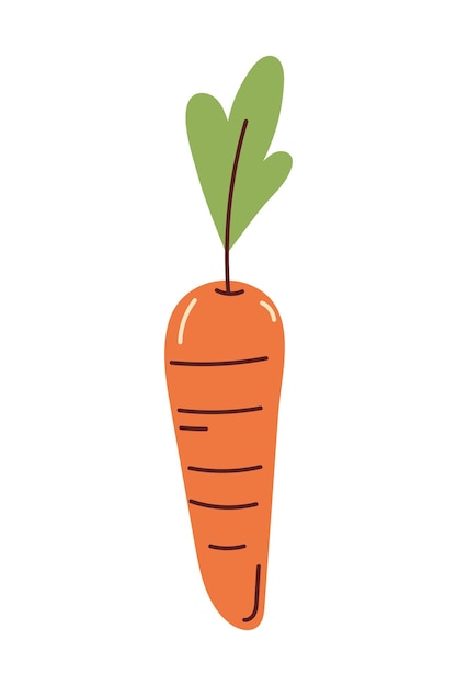 Free Vector carrot vegetable icon isolated white background