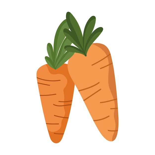 Free Vector carrots icon isolated white background