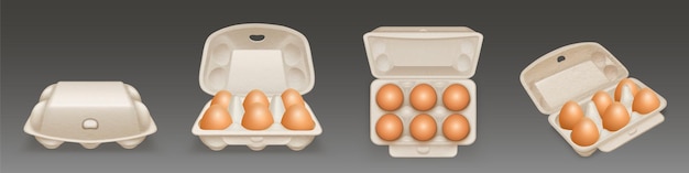 Free Vector carton egg tray blank box package mockup