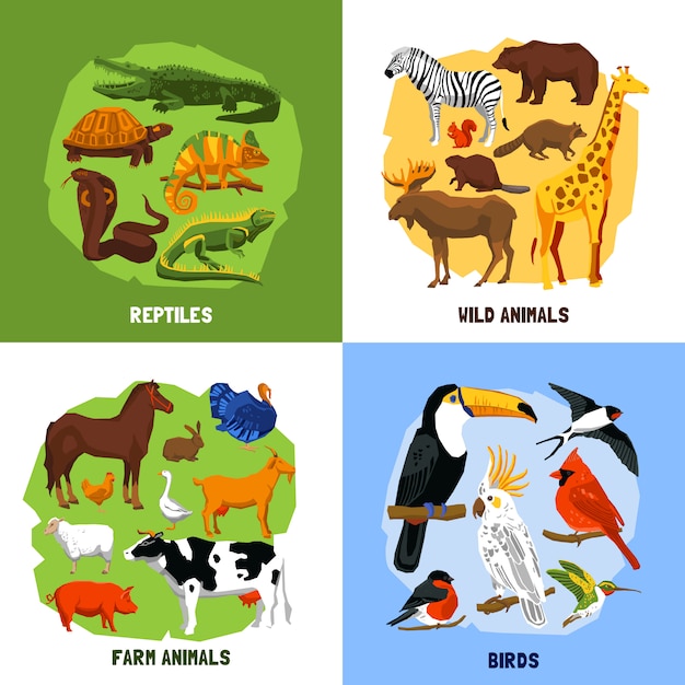 Free Vector cartoon 2x2 zoo images