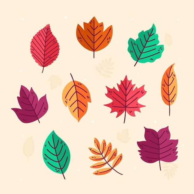 Cartoon autumn leaves collection