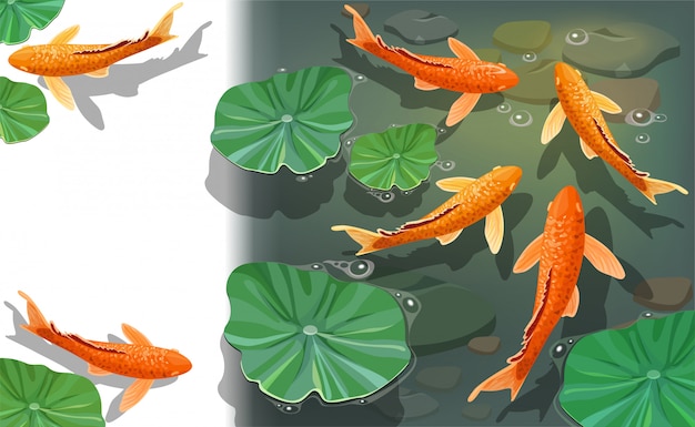 Free Vector cartoon carps koi. underwater view.