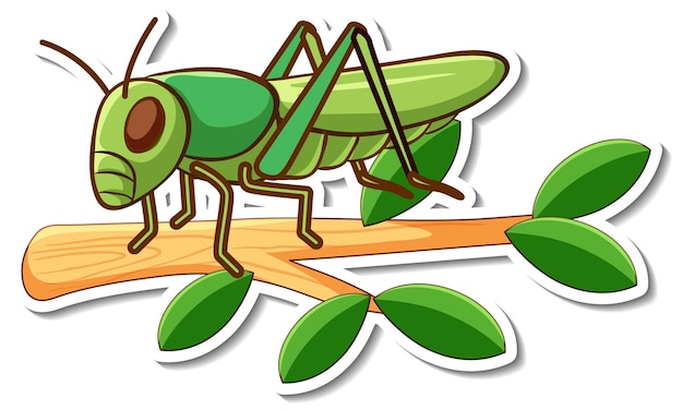 Cartoon character of grasshopper on a branch sticker