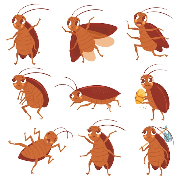 Cartoon cockroach mascot