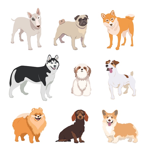 Free vector cartoon dog breeds flat icon collection