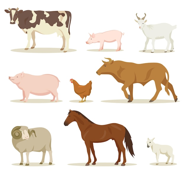 Cartoon domestic animals illustrations set