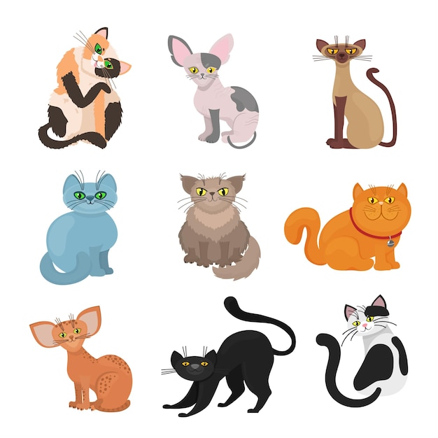 Cartoon domestic cats. Illustration of animal with tail and whiskers