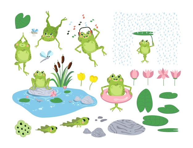 Cartoon frogs and tadpoles flat illustrations set