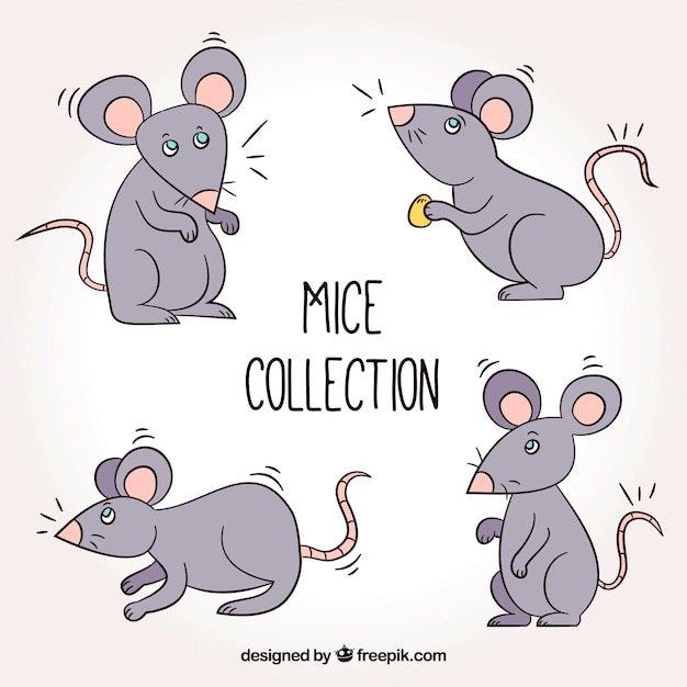 Cartoon mice collection