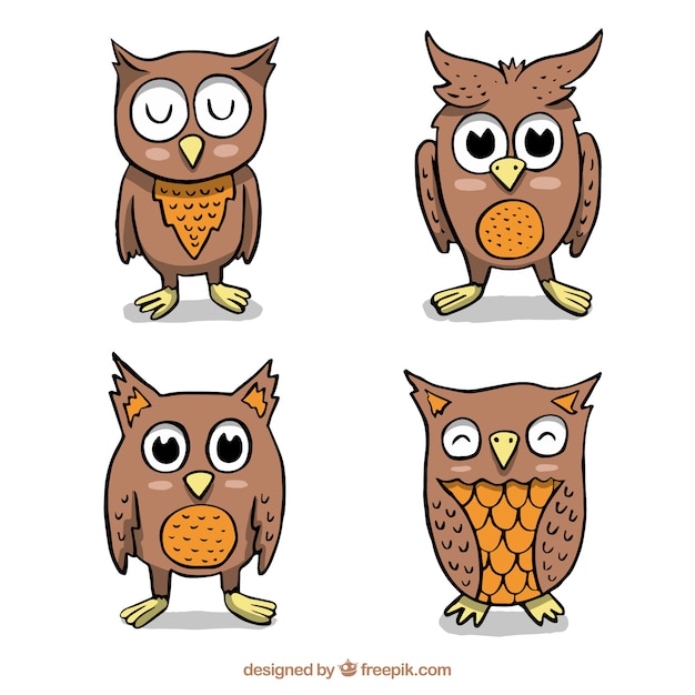 Cartoon owl pack of four