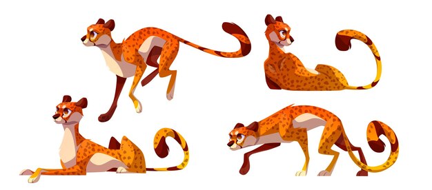 Cartoon set of cheetah character in different poses isolated on white background Vector illustration of african wild cat running fast jumping lying walking and hunting Exotic pet zoo animal