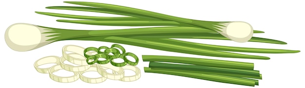 Free Vector cartoon spring onion isolated