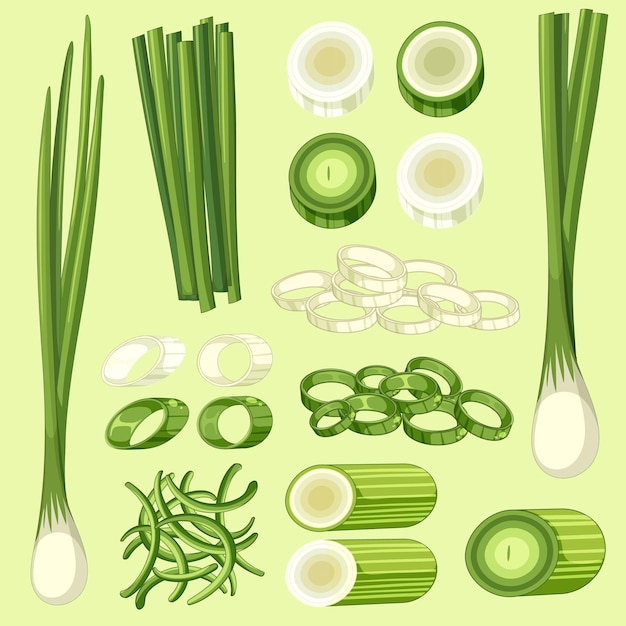 Free Vector cartoon spring onion with background