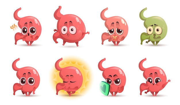 Cartoon stomach character, cute mascot with sword and shield, ulcer, stomachache, nausea and belching, Funny tummy swollen and hungry, relaxed meditating. Health care and medicine Vector icons set