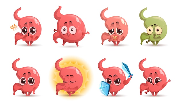 Cartoon stomach character cute mascot