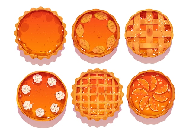 Free Vector cartoon style of pumpkin pies top view