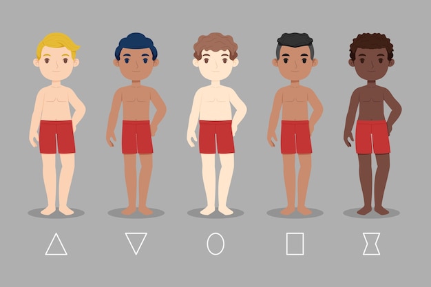 Free Vector cartoon types of male body shapes