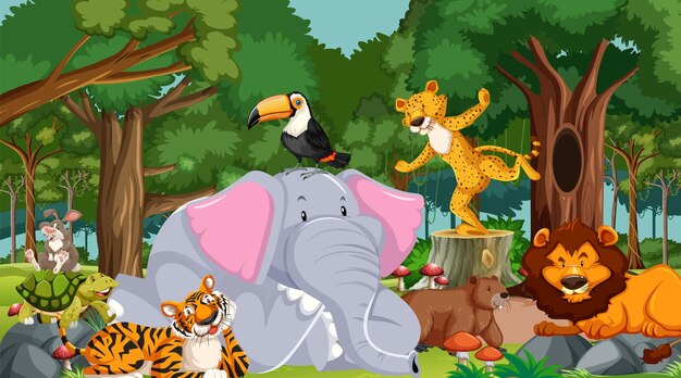 Cartoon wild animals in the forest