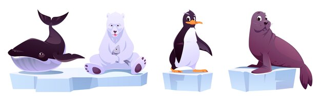 Cartoon wild animals on ice floes sea whale, white bear, penguin and seal.