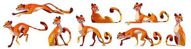 Cartoon zoo cheetah jumping and running vector set Isolated africa animal standing sitting stealing and jump graphic character collection Jungle jaguar long tail drawing in different pose png kit