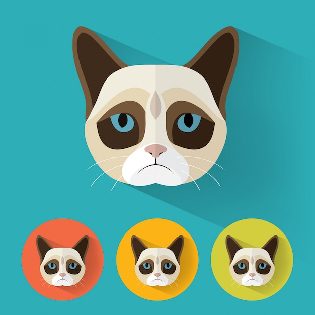 Cat animal portrait in flat design