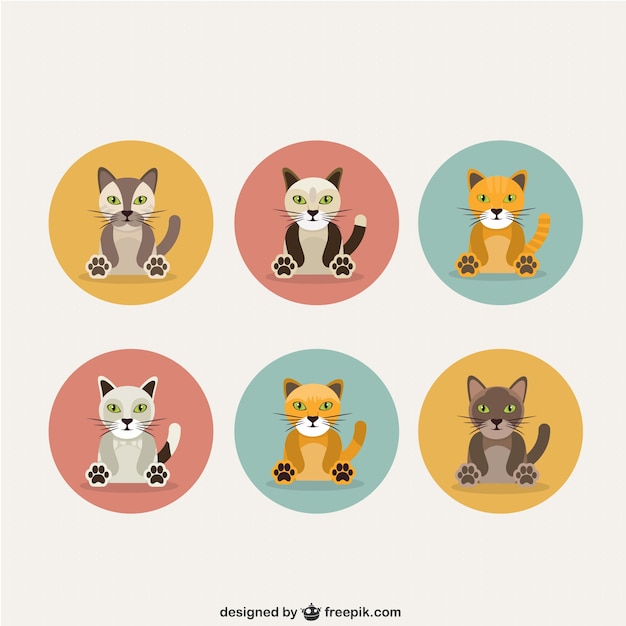 Free Vector cat breeds