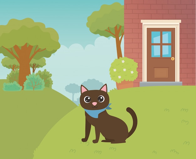 Cat cartoon design vector illustrator