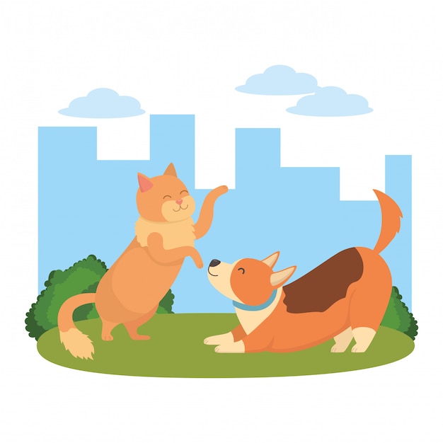 Cat and dog cartoon 