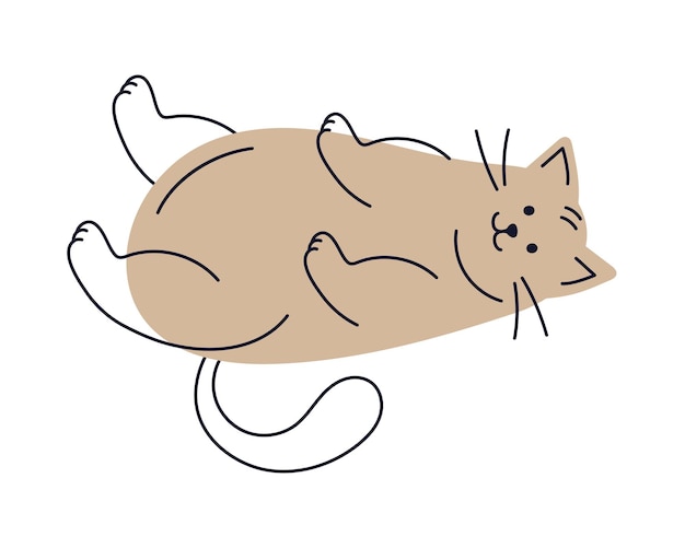 Free Vector cat mascot domestic