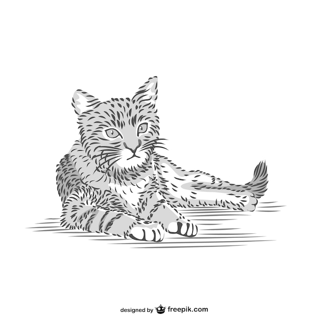 Free vector cat resting