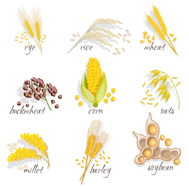 Cereals Icon Set