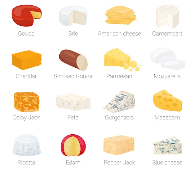 Cheese flat icon set with gouda brie american cheese camembert cheddar smocked gouda parmesan mozarella colby jack feta gorgonzola maasdam ricotta edam pepper jack blue cheeses vector illustration