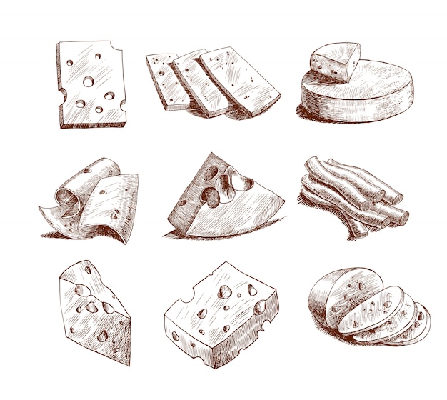 Cheese sketch collection